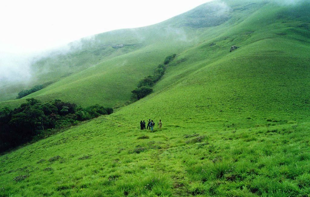 Topslip,Parambikkulam Valparai 3day Tour plan Raga Travels (74146),Holiday  Packages to Coimbatore