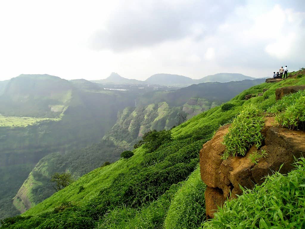 wayanad hill station tour packages