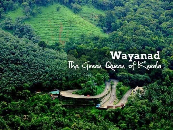wayanad local tour package