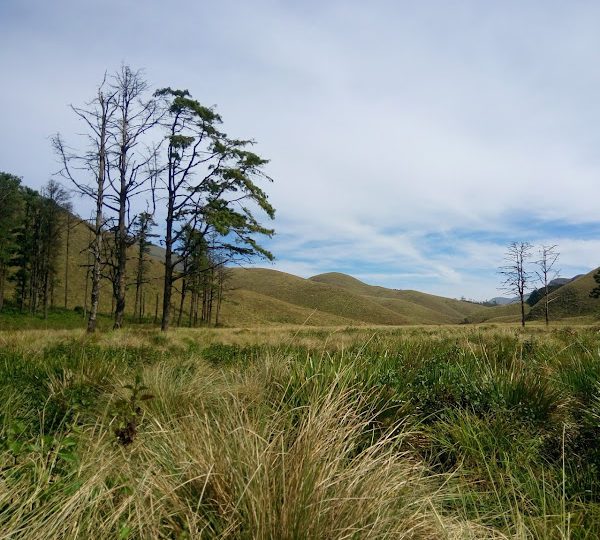 6 Lesser-Known Hill Stations in Tamil Nadu - Tours & Travels Guide