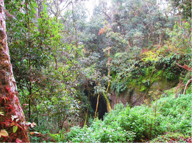 Unseen Guna Cave Kodaikanal Photos Mukundha Tours And Travels