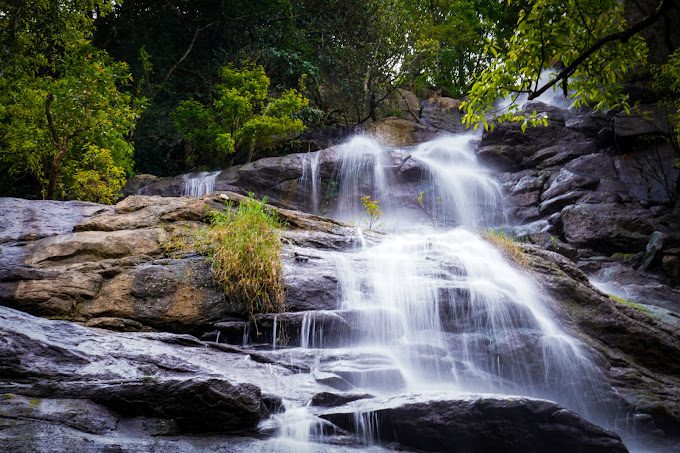 Yercaud tour packages